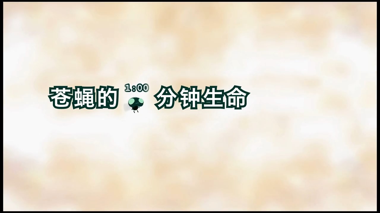 看完沉默了！蒼蠅的 60 秒，道盡了生命的珍貴與力量